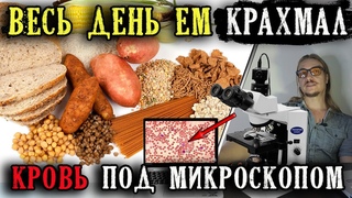 Весь день ем крахмал | Что стало с кровью под микроскопом?