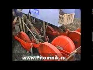 посадка саженцев, посадка сеянцев, посадка черенков, рассадопосадочная машина для питомников