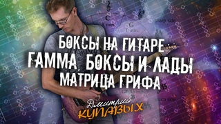 ЛАДОВЫЕ БОКСЫ НА ГИТАРЕ | МАТРИЦА ГРИФА | ГАММА, БОКСЫ И ЛАДЫ | БОКСОВОЕ МЫШЛЕНИЕ | ДМИТРИИ КУПАВЫХ