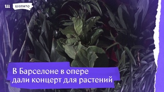 Концерт для 2292 комнатных растений