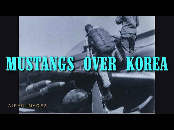 F 51 Mustangs Over Korea USAF and South African Air