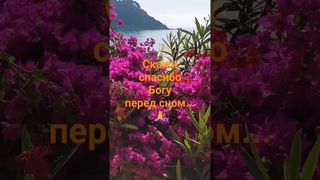 СКАЖИ СПАСИБО ПЕРЕД СНОМ