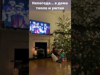 #shorts  Зима, однако.
