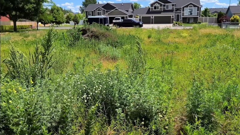 Customer STUNNED At How Fast I MOWED His OVERGROWN