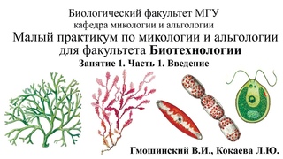 Малый практикум для студентов ф-та Биотехнологии. 1 занятие. Часть 1. Введение