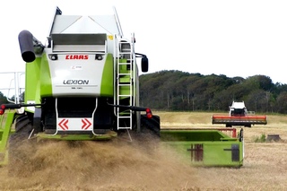 Grass Seed Harvest | Claas Lexion 560 & 580 | Cat TH330B | Full Process