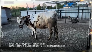 Пронько: Этот дурдом неслучаен! Цель  постоянный рост цен на монопольном рынке