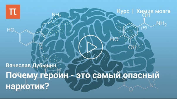 Эндорфины Вячеслав Дубынин yljhabys dzxtckfd le,