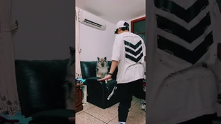 Aurora - Cure For Me Dance Trend Doggy DLC #shorts