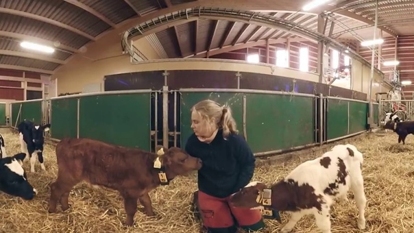 En VR rundtur på en Arlagård, Böndernas eget