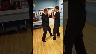 Kung fu Hong Gia. Принципы защиты от локтей 2