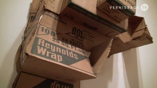 Robert Rauschenberg: Cardboards and Gluts