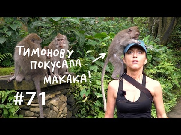 Почему мы любим массаж и сплетни ,, ВКУЗ,