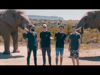 Our Last Night - South Africa Tour Vlog! (South Africa SAFARI)