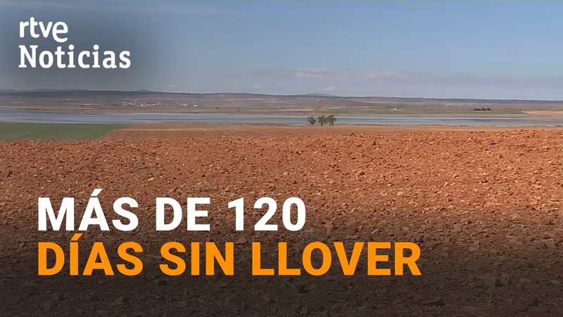 La SEQUÍ A de LARGA DURACIÓ N deja los CULTIVOS en una SITUACIÓ N CRÍ TICA, RTVE