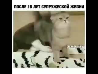 +