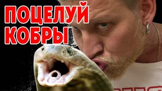ПОЦЕЛУЙ ИНДИЙСКОЙ КОБРЫ! Отбор в ИГРЫ ГАБАРА!
