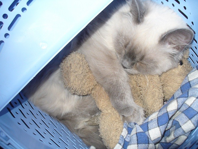 Ольга Малиновских | Казань