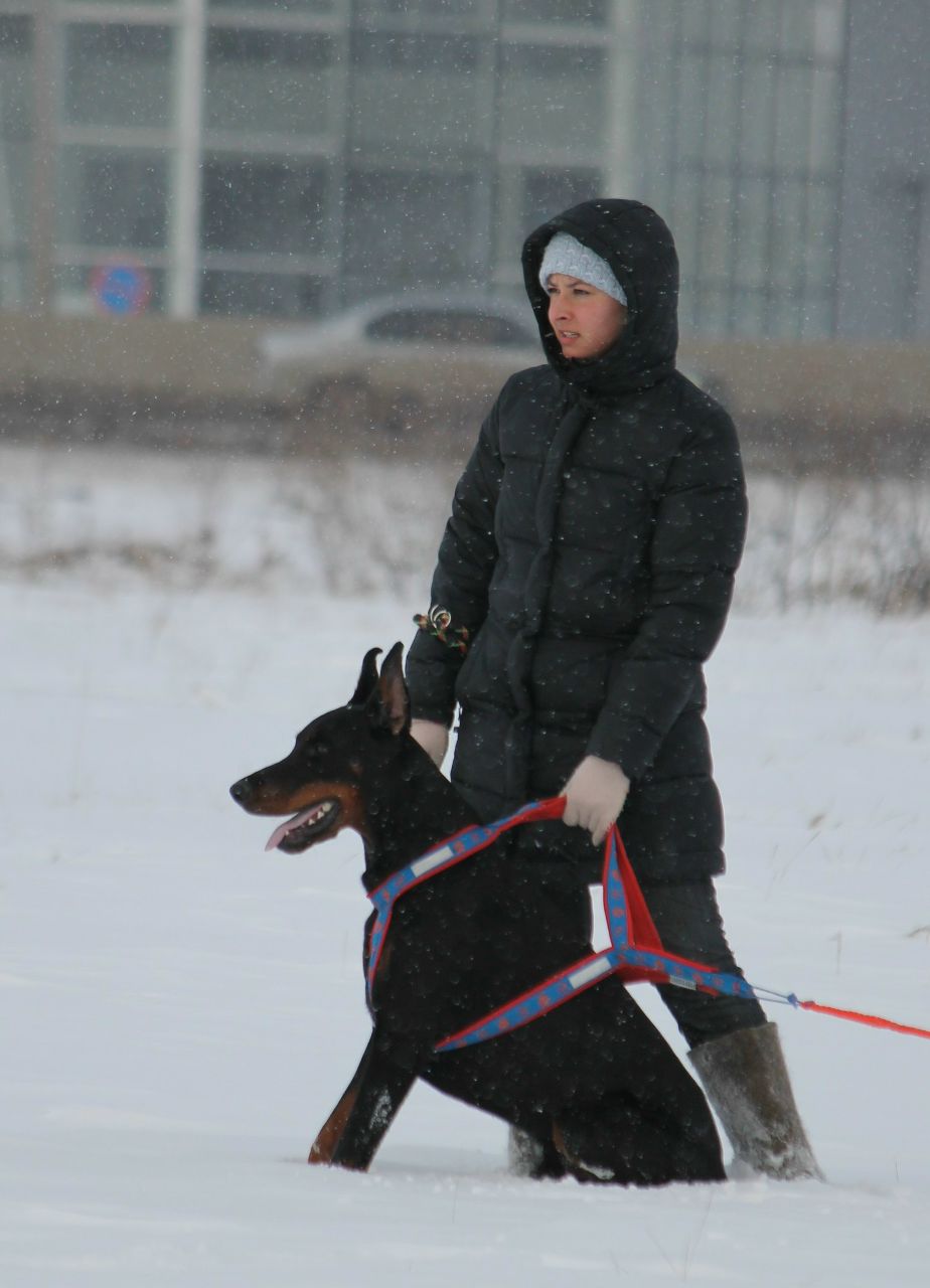 Александра Барышникова ~Сашулька~ | Тюмень