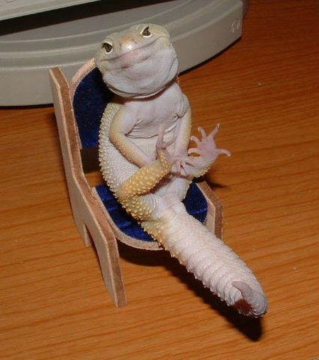 John Wan | Псков