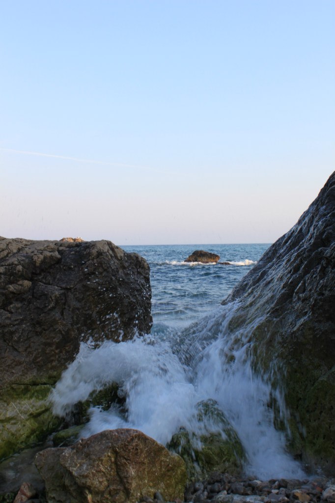 Катя Шереметева ***Grenouille heureuse*** | Nice