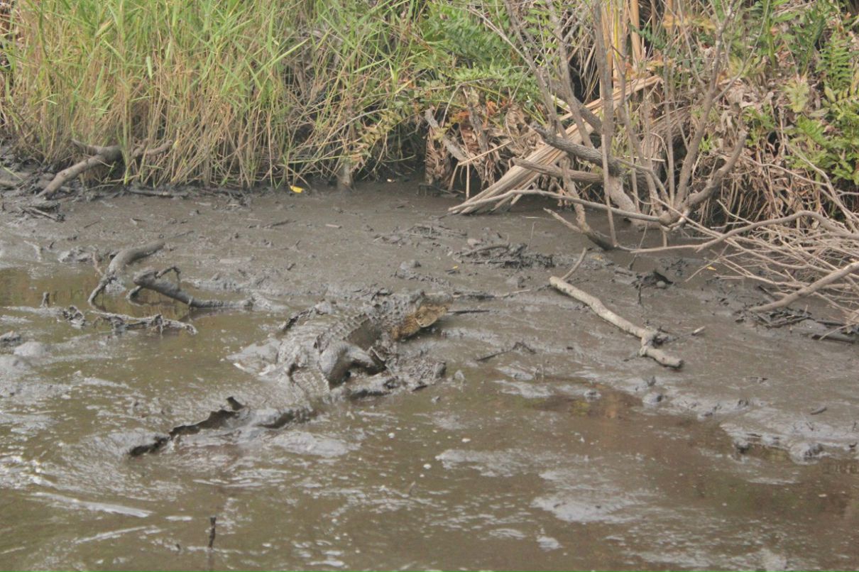 Danny Canadian | Toronto