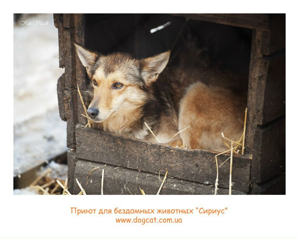 Оксана Чорная | Днепр (Днепропетровск)