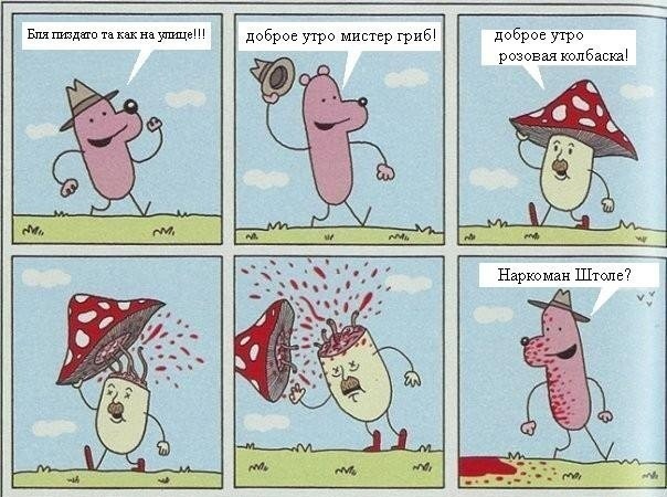 №43, Павел Кравчук, 34 года, Белгород №43, Павел Кравчук, 34 года, Белгород