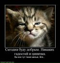 Фотография Александр Кузнецов