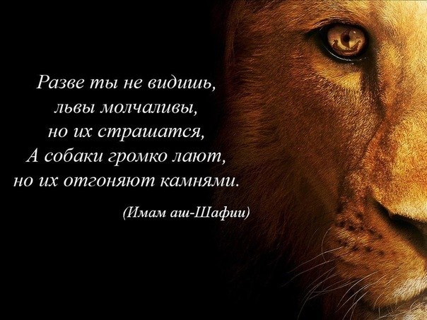 Фаня Нафанев | Казань