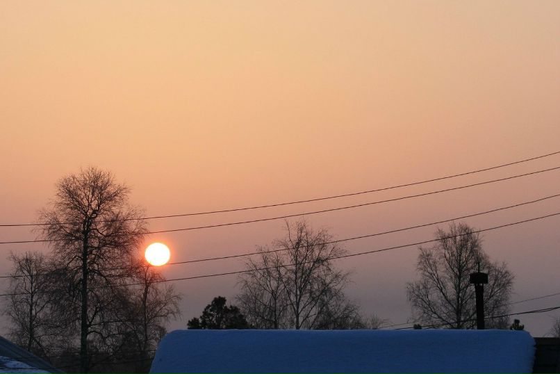 Елена Карташова | 