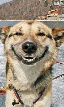 Катерина Мікла | Ужгород