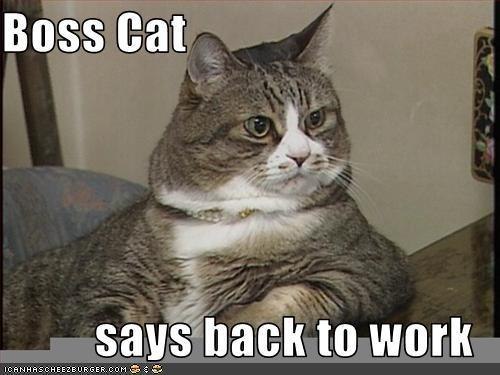 Светлана Застер | Киев