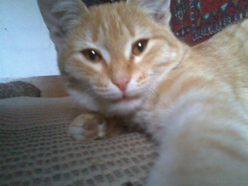 Роман Марчук | Челябинск