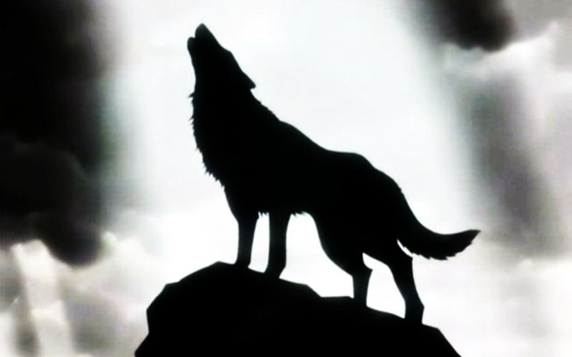 Сергей Перезолов 