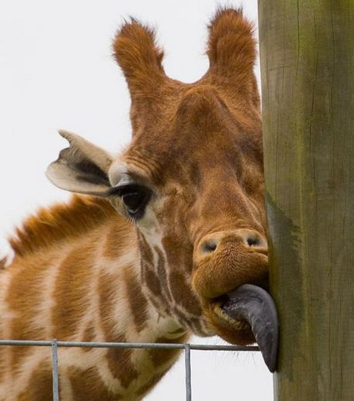 Евгения Отрощенко | Новосибирск