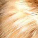 №134, Мария Косенко, Кривой Рог №134, Мария Косенко, Кривой Рог