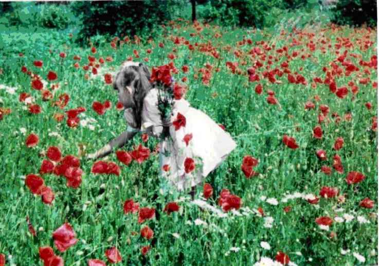 Cristina Beregovska | 