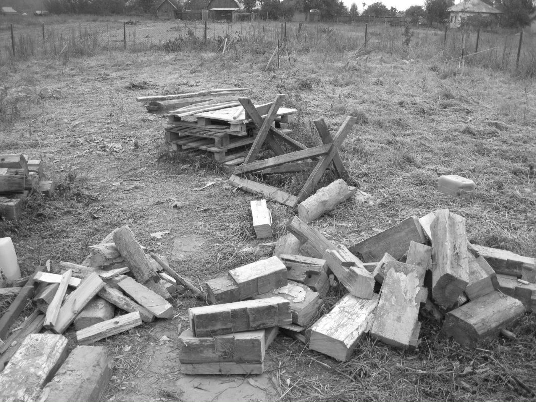 Андрей Рекун | Киев