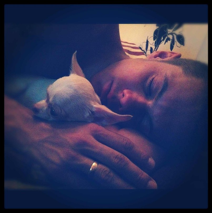 Макс Сарумян | 