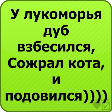 №81, София Николаенко №81, София Николаенко