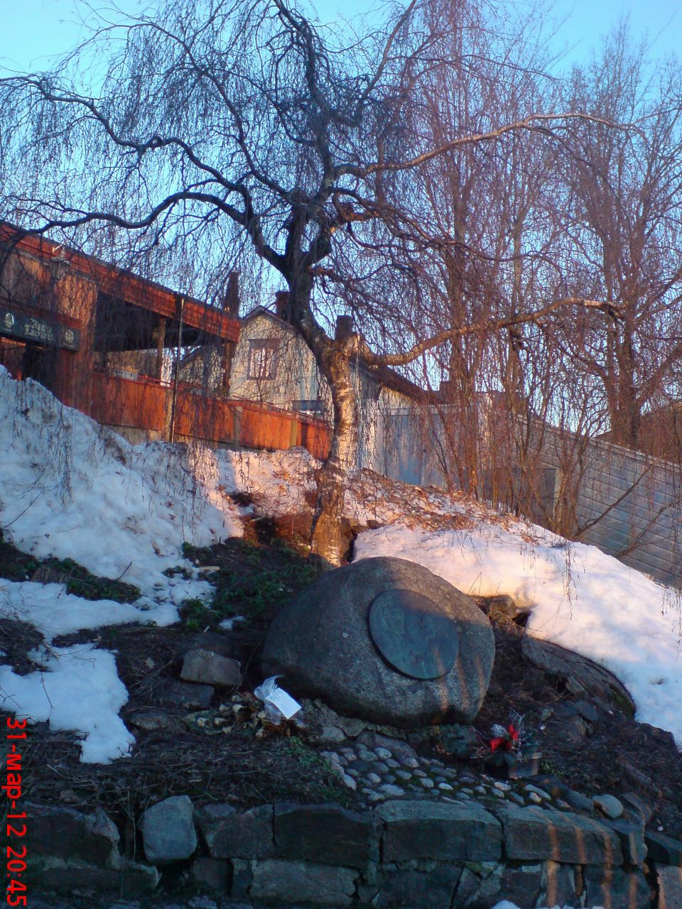 Светлана Бешенцева | Санкт-Петербург