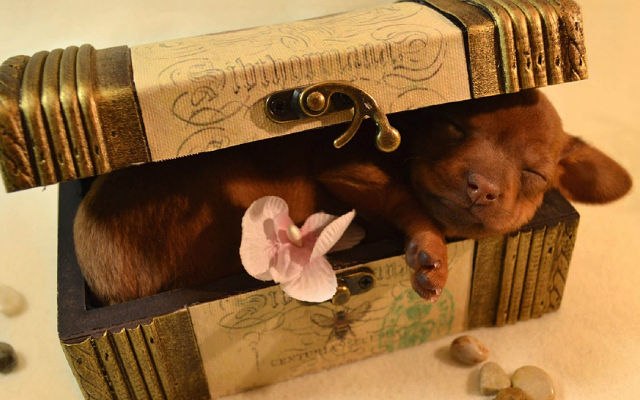 Мария Пузик Викторовна ♥ М@ня ♥ | Санкт-Петербург