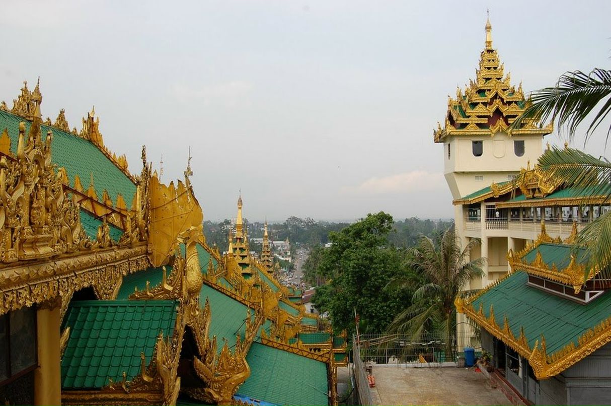 Света Волчик | Санкт-Петербург