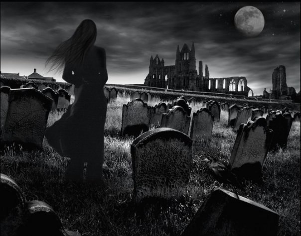 Владимир Мартыненко Туман | Ивковцы