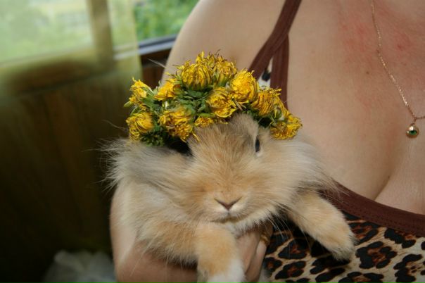 №41, Ирина Белашова, 18.12, Москва №41, Ирина Белашова, 18.12, Москва