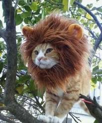 Виктор Рогожников | Коломна