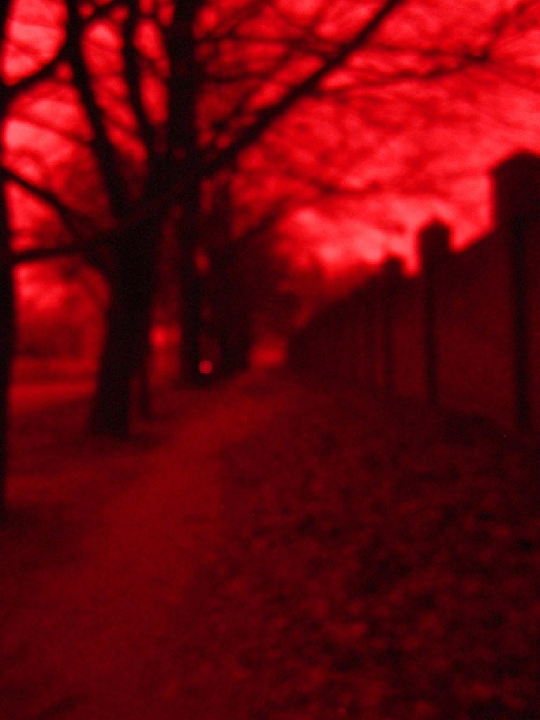 Саня Григорьев | Днепр (Днепропетровск)