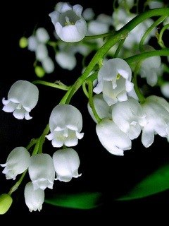 Дарья Никулина | Тюмень