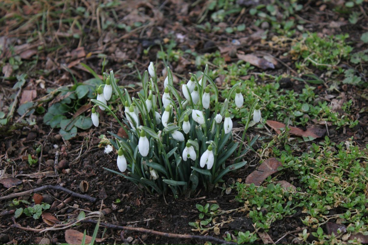 Вальчик Капитошка | Москва